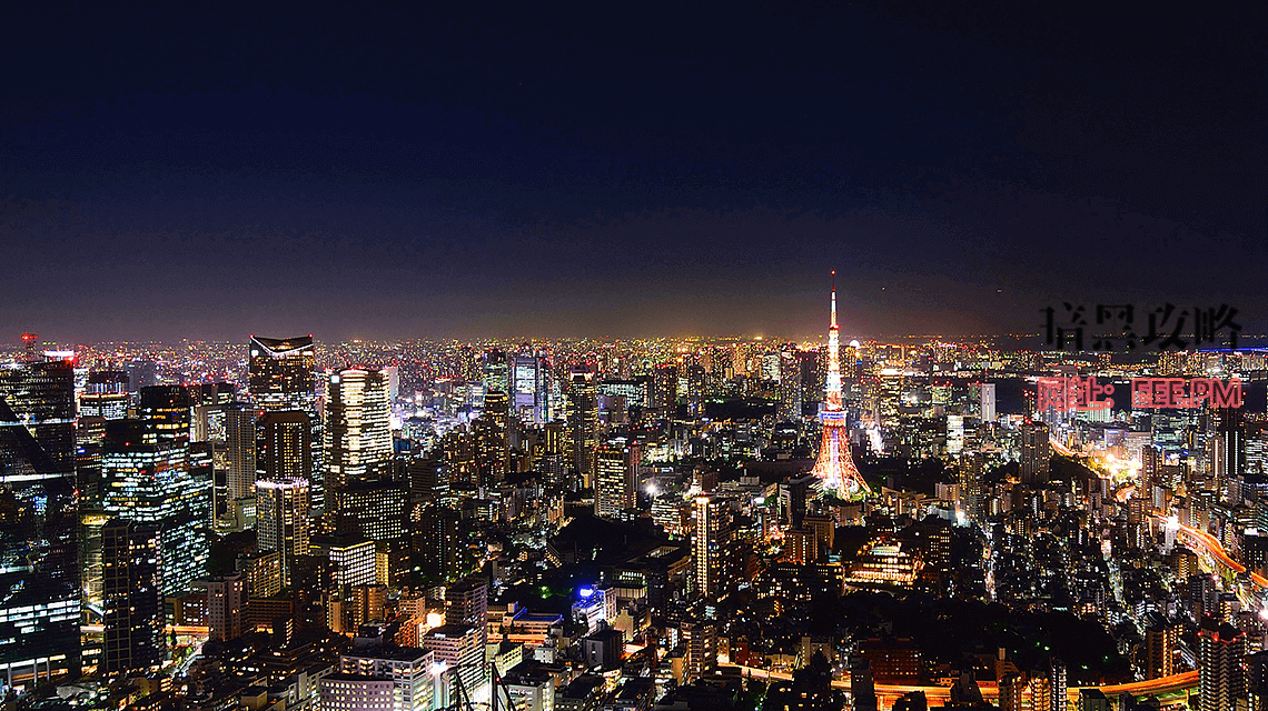 东京天际线在晚上，包括东京铁塔